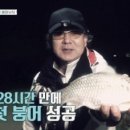 도시어부 이미지