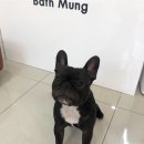 바스멍 이미지