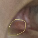 새봄안과의원 이미지