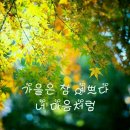 문어통발 이미지