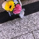 새꽃로 205 이미지