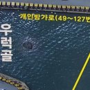 영흥바다낚시터 이미지
