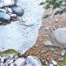 순천-20호 이미지