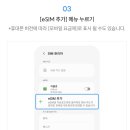 티플로