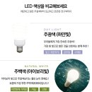 굿모닝우드 티스토리