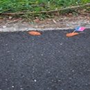 위대한 영웅들 | 천년의 시대를 여는 위대한 영웅들의 서사