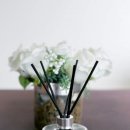 뱅크트리 이미지