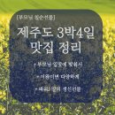 아셈관광호텔 | 엄마 칠순 생일선물 제주도여행 맛집 정리