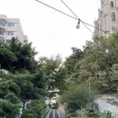 3.1만세운동길 이미지