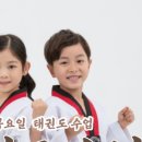 153태권도장 이미지