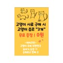 카모션정비센타 이미지