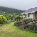 평사리의 그집 이미지