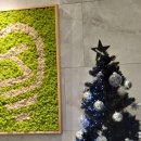 조은이치과의원 이미지