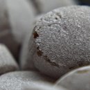 (주)제이에스바이오 이미지