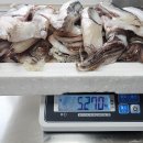 오징어랑전어랑 - 관악구 행운2길 32 | 오징어랑전어랑
