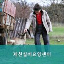 제천시노인회관(노인교실) | 제천시요양원,자작동요양원 제천실버요양센터 - 직접 방문해본 솔직 후기