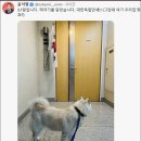 윤석열 ‘우크라이나 지지 귤 사진’에 외신기자 “당혹스럽다” 이미지