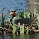 에덴복지요양센터 이미지