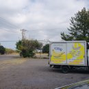 큰빛농장 | 제주 이색 체험 바나나 따기 가능한 유진팡 농장 아이랑 가기 너무 좋았던 후기