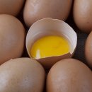 에그머니나 이미지