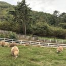 은모래목장 이미지