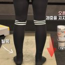 피티월드(PT월드) 네이버블로그