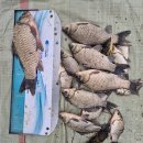 성호좌대 이미지