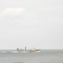 보아비양 이미지