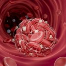 멍이랑 양이랑 이미지