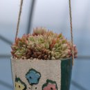 송정하우스 이미지