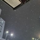 새해는 방학이라고 스크롤 빵빵하게 늘려왔다고 한다.