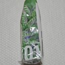 덴탈웨이 이미지