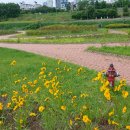 한강시민공원 이미지