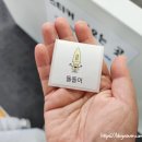 충남 국립공주박물관 관람 후기, 웅진백제실과 충청권역 수장고까지 둘러보기