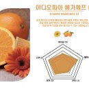 오스팩토리 | 맛있는 콜드브루 원액 내돈내산 오스티리치팩토리 내돈내산후기