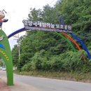 반딧불이 천문대 이미지