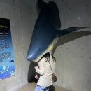 크라운호프 부산당감점 이미지