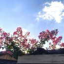 광산여인숙 이미지