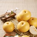 정수농장 이미지