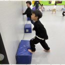 고려태권도아카데미 이미지