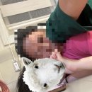 가평모닝필하우스 이미지