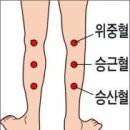 종아리 마사지 효과/종아리 마사지 하는 방법 이미지