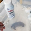 금촌종합동물병원 이미지