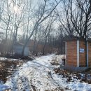 물왕 공중화장실 이미지