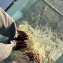 돈달약수터 | 정선이랑 삼척여행🛻🌴🌊