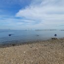 등나무민박 이미지