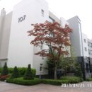 성산마을 동백하우스토리 이미지