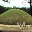 신라건재