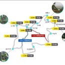 금강솔바람길 이미지