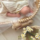 나만의 손글씨 활용하기 | 육아기록 :: 신생아 아기 50일 셀프 촬영 마이러브(My Love) 들꽃바구니 소품 대여 후기 및 꿀팁